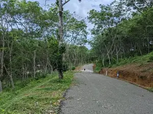 හබරාදුව දික්කුඹුර පාරෙන් බිම් කොටස්