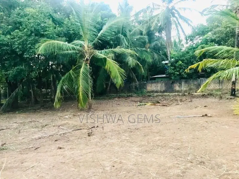 ඔප්පු සහිත A6 ප්‍රධාන පාරට මී100 නුදුරින් ආන්දම්කුලම ඉඩමක් විකිණීමට