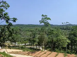 හබරාදුව දික්කුඹුර පාරෙන් බිම් කොටස්