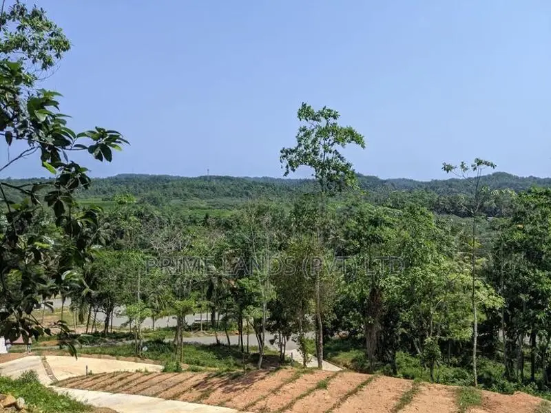 හබරාදුව දික්කුඹුර පාරෙන් බිම් කොටස්