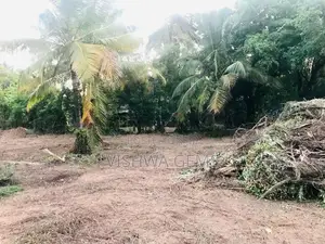 ඔප්පු සහිත A6 ප්‍රධාන පාරට මී100 නුදුරින් ආන්දම්කුලම ඉඩමක් විකිණීමට