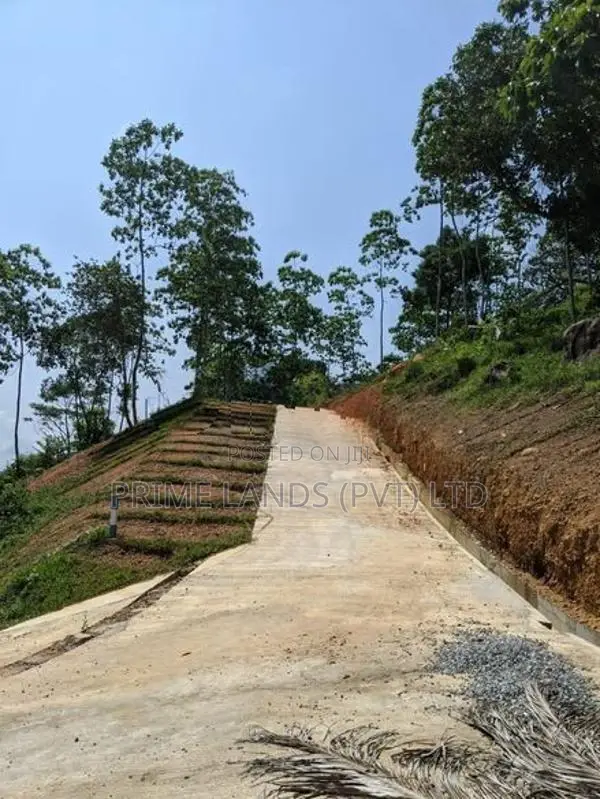 හබරාදුව දික්කුඹුර පාරෙන් නේවාසික බිම් කොටස්