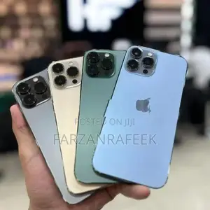Apple iPhone 13 Pro Max | 256GB (Used)
