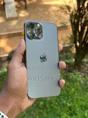 Apple iPhone 13 Pro Max (Used)