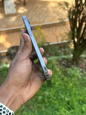 Apple iPhone 13 Pro Max (Used)