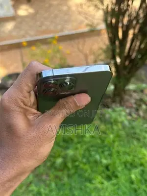 Apple iPhone 13 Pro Max (Used)