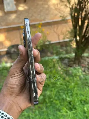 Apple iPhone 13 Pro Max (Used)