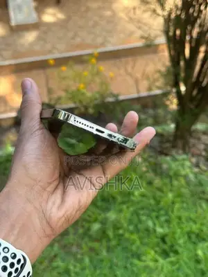 Apple iPhone 13 Pro Max (Used)