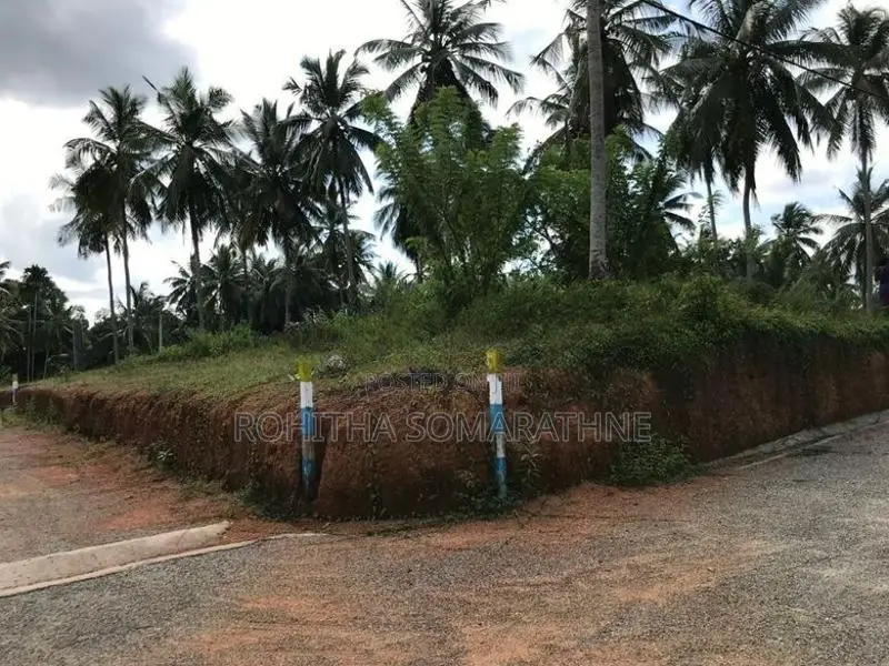 Land for Sale at Prime Zone 5 Nittambuwa Pasyala