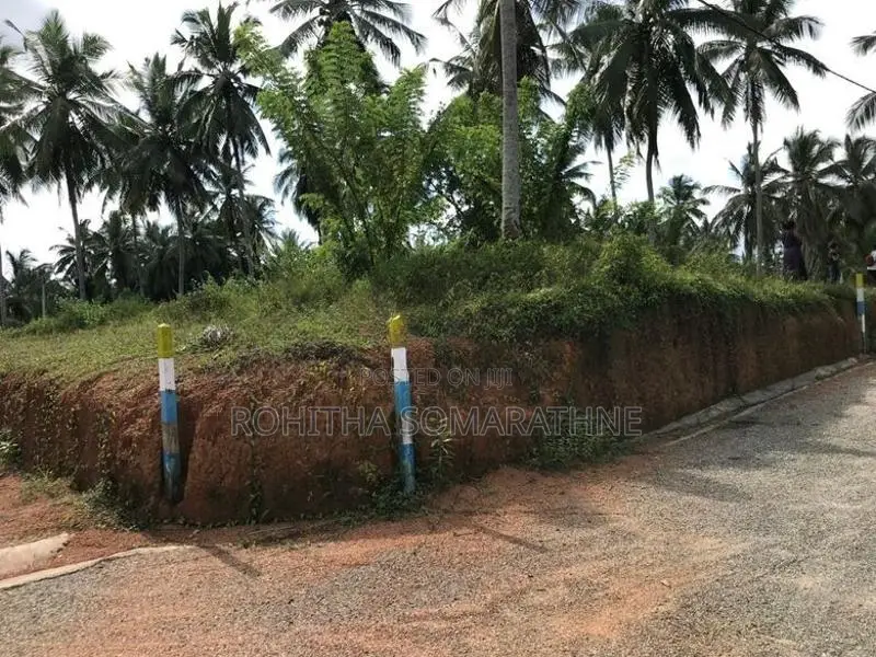 Land for Sale at Prime Zone 5 Nittambuwa Pasyala