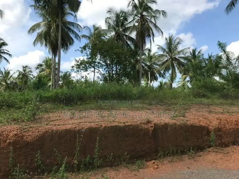 Land for Sale at Prime Zone 5 Nittambuwa Pasyala