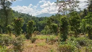 land for sale in Pilimathalawa