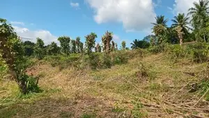 land for sale in Pilimathalawa