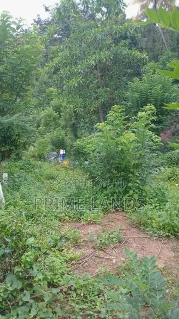 land for sale in Pilimathalawa