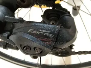 Louis Garneau with Shimano Bike