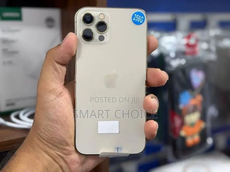 Apple iPhone 12 Pro 256GB (Used)