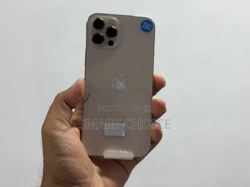 Apple iPhone 12 Pro 256GB (Used)