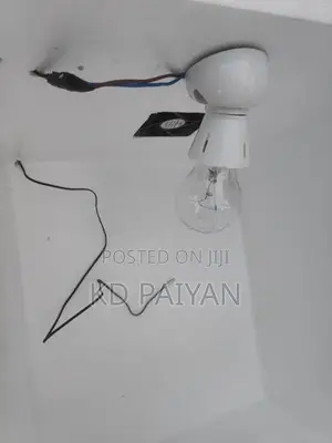 Egg Incubator