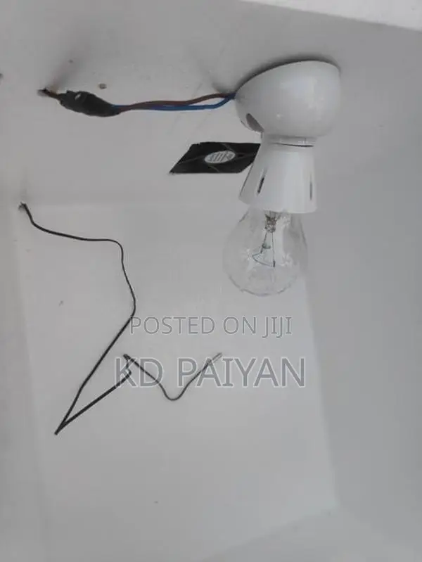 Egg Incubator