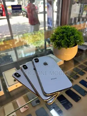 Apple iPhone X 256GB (Used)