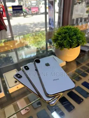 Apple iPhone X 256GB (Used)