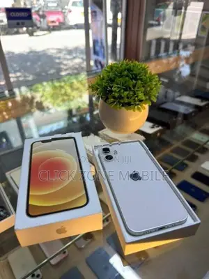 Apple iPhone 12 mini 128GB (Used)