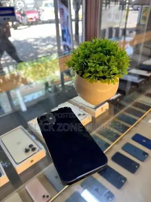 Apple iPhone 12 mini 128GB (Used)