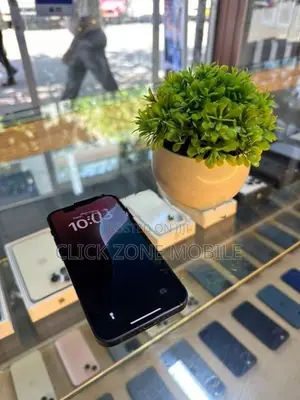 Apple iPhone 12 mini 128GB (Used)