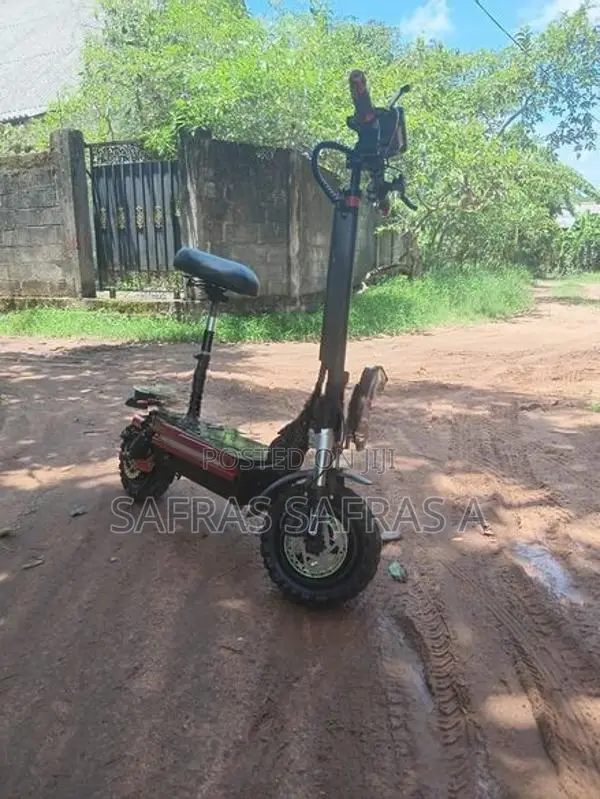 Electric Bicycle 2025