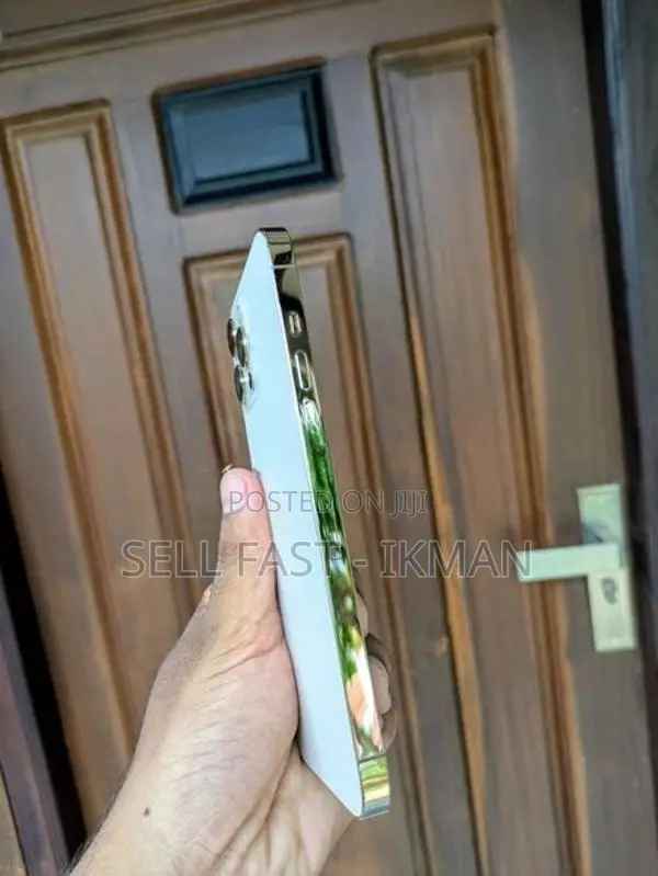 Apple iPhone 12 Pro Max 512GB (Used)