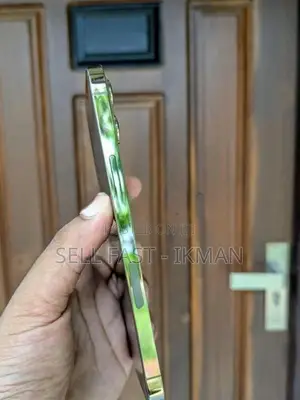 Apple iPhone 12 Pro Max 512GB (Used)