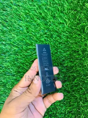 Apple iPhone 5S Battery