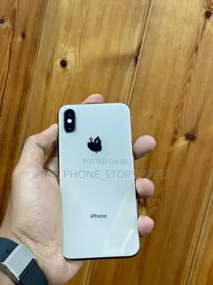 Apple iPhone XS 256GB (Used)