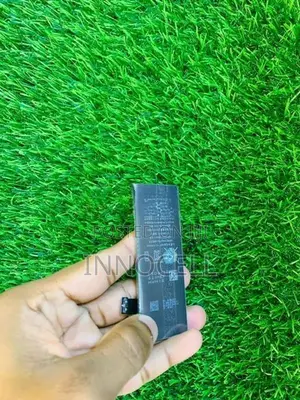 Apple iPhone 5S Battery