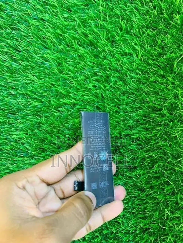 Apple iPhone 5S Battery