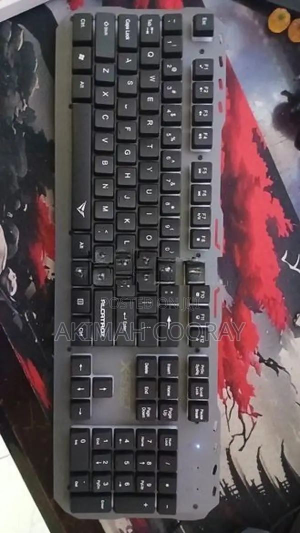 Alcatraz X-Craft XKB 300, Keyboard.