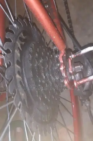 ​classic 10-Speed Road Bicycle with Accessories