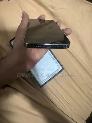 Apple iPhone 13 Pro (Used)