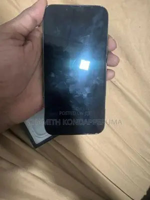 Apple iPhone 13 Pro (Used)