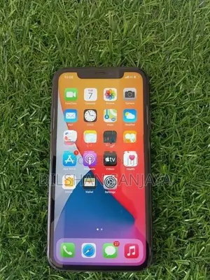 Apple iPhone 11 (Used)