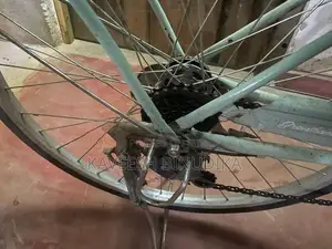 Ladies Bicycle