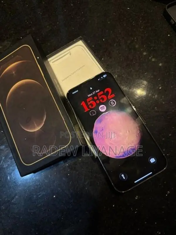 Apple iPhone 13 Pro Max (Used)