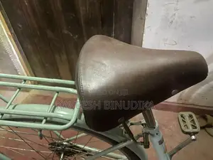 Ladies Bicycle