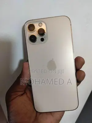 Apple iPhone 12 Pro Max 256GB (Used)