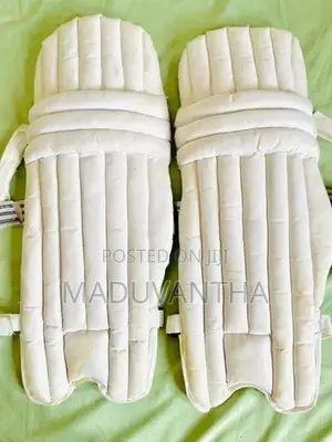 Cricket Pads Set