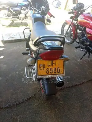 Hero Splendor 2010