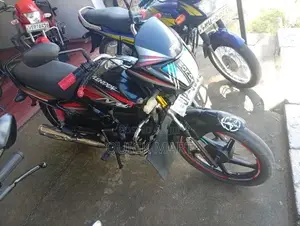 Hero Splendor 2010