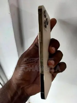 Apple iPhone 12 Pro Max 256GB (Used)