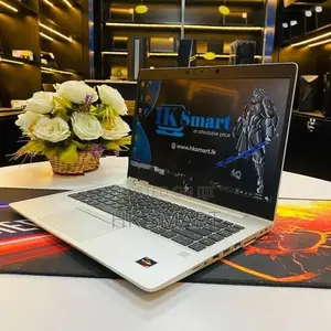 HP EliteBook 745 G6 – Ryzen 5 Pro | 2GB VGA