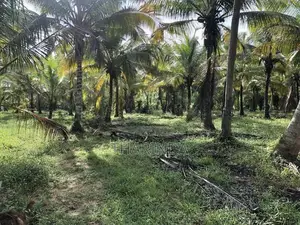 Land for Sale Bingiriya